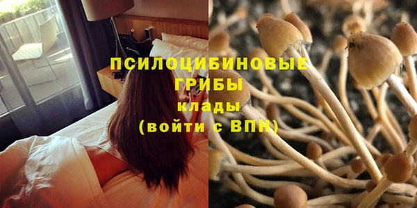эйфоретик Алексин