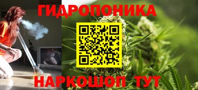 прущие грибы Тулун