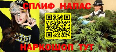 прущие грибы Тулун
