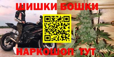 прущие грибы Тулун
