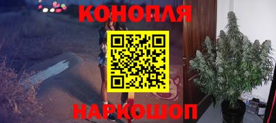прущие грибы Тулун
